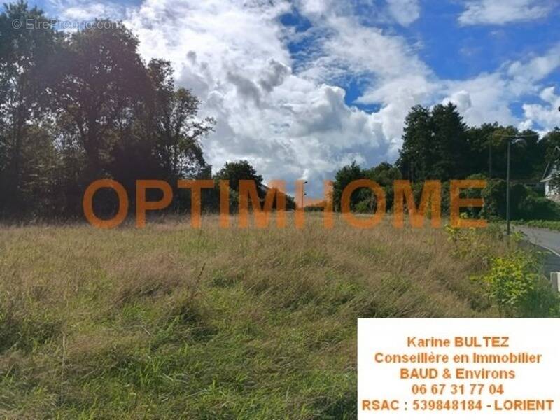 Terrain à BAUD