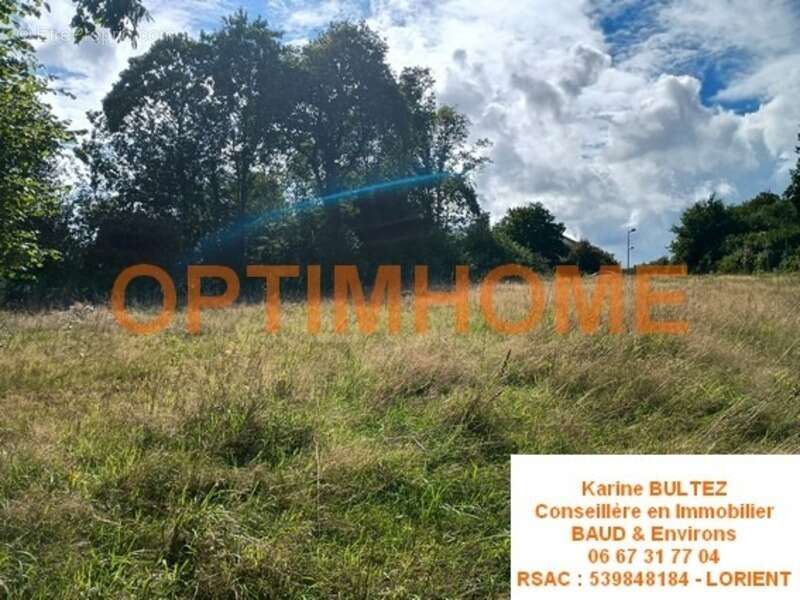 Terrain à BAUD