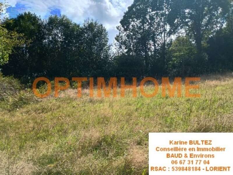 Terrain à BAUD