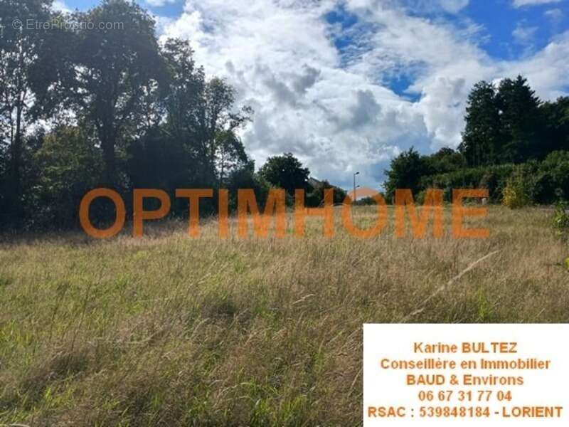 Terrain à BAUD
