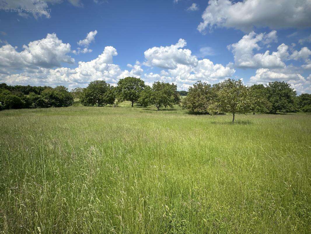 Terrain à MONTOIRE-SUR-LE-LOIR