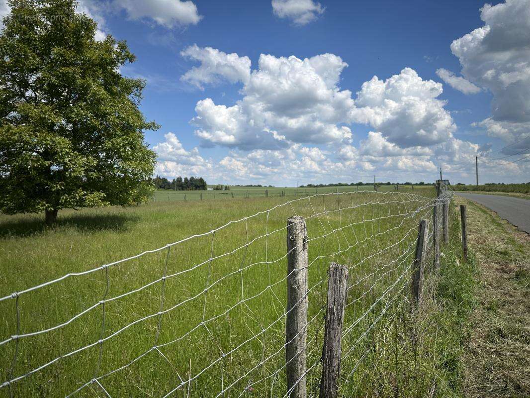 Terrain à MONTOIRE-SUR-LE-LOIR