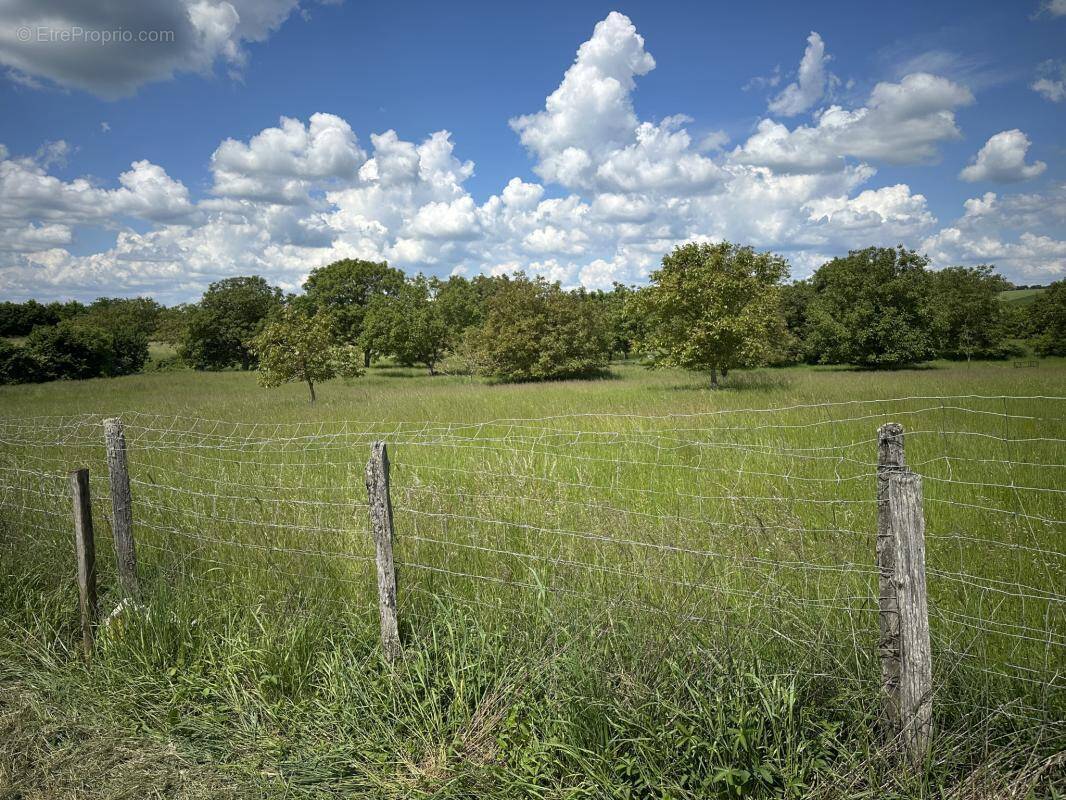 Terrain à MONTOIRE-SUR-LE-LOIR