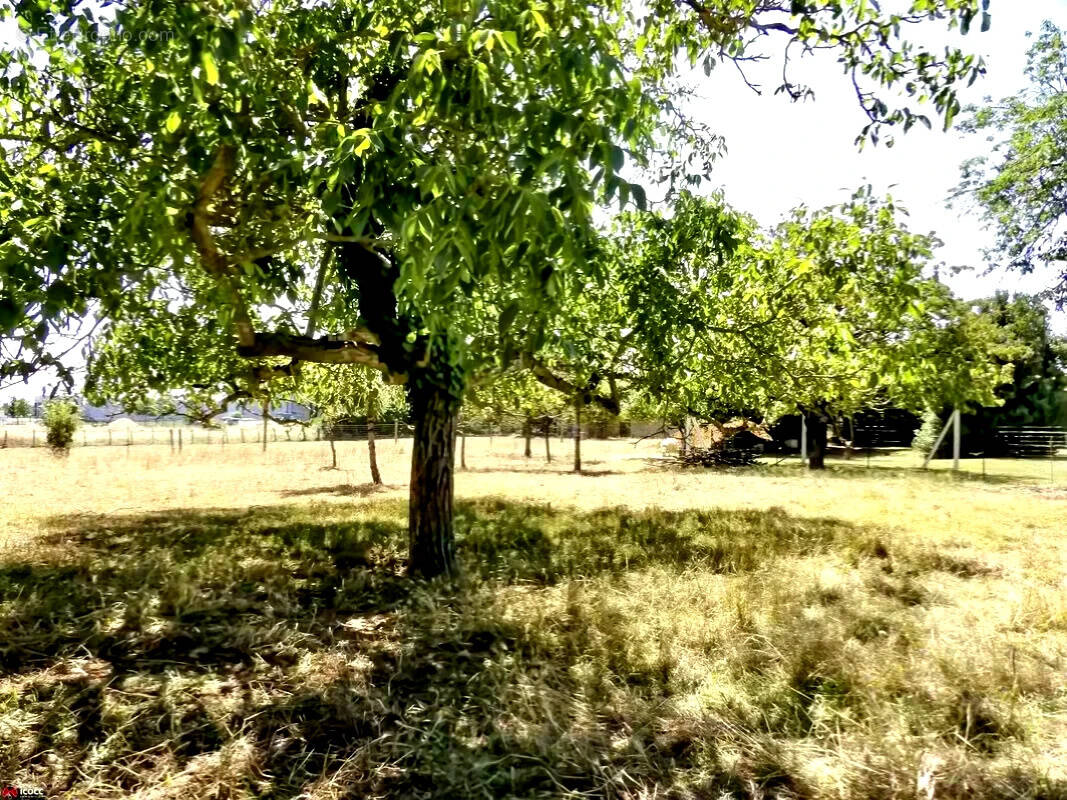 Terrain à SAINTE-GEMME-LA-PLAINE