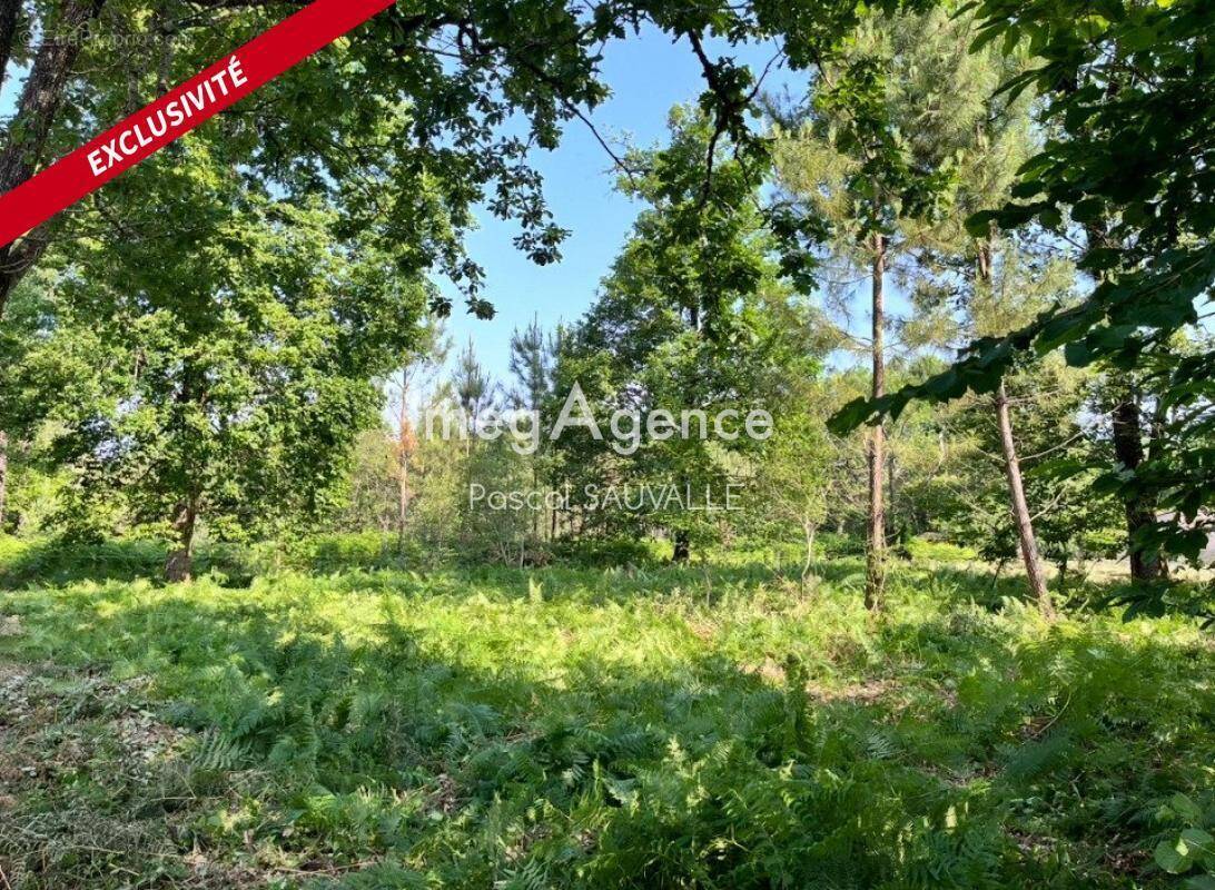 Terrain à CHANCELADE