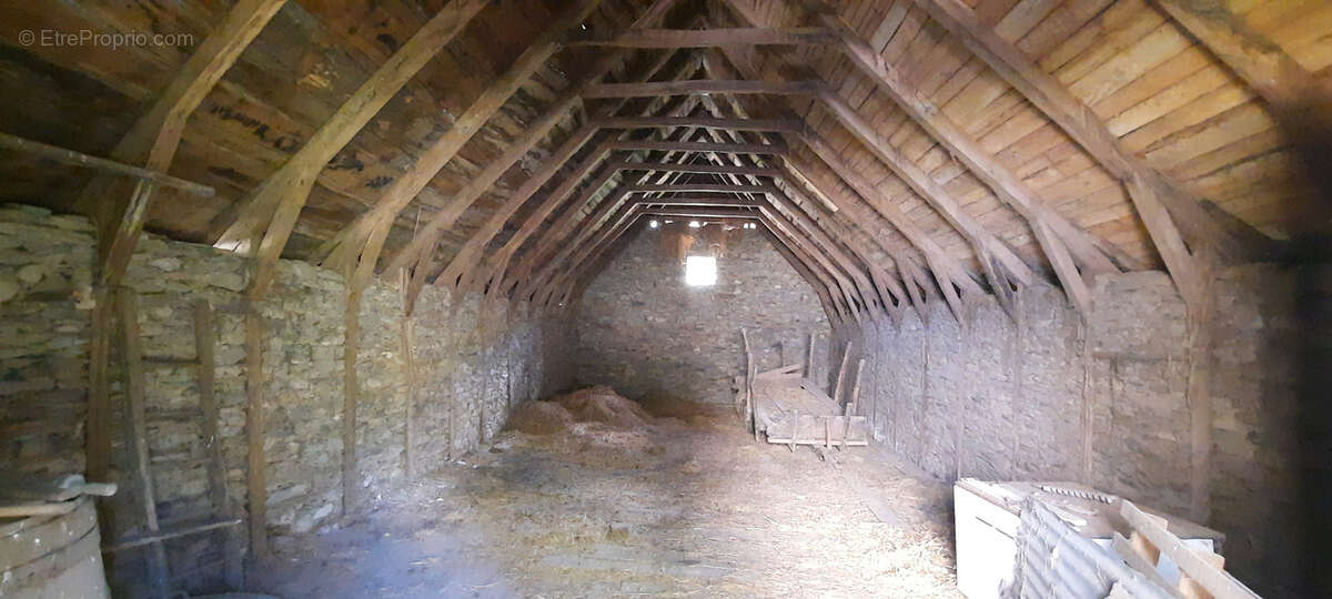 Maison à VIEILLEVIE