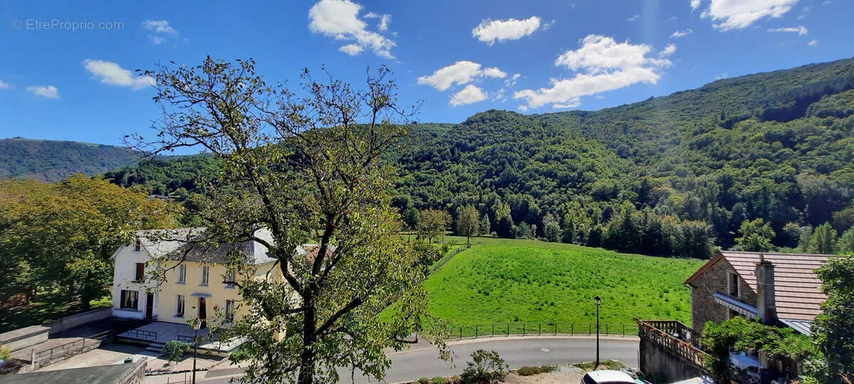Maison à VIEILLEVIE