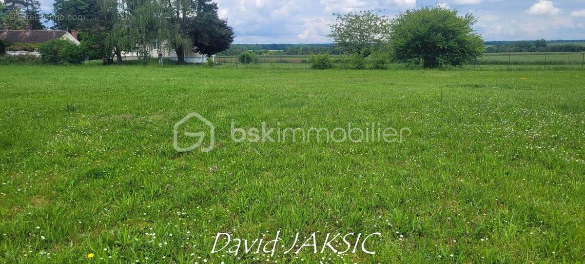 Terrain à MONTEREAU-FAULT-YONNE