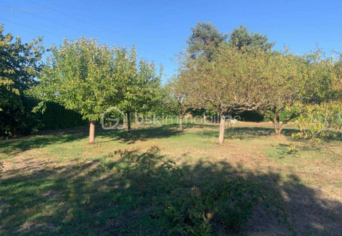 Terrain à ARTANNES-SUR-INDRE