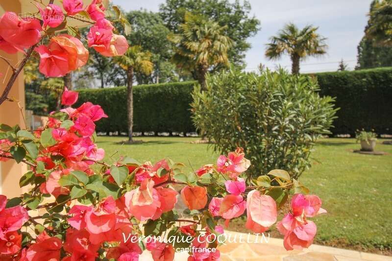 Maison à LE CELLIER