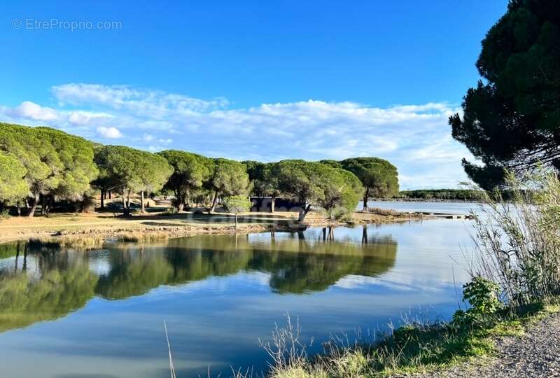 Appartement à LA GRANDE-MOTTE
