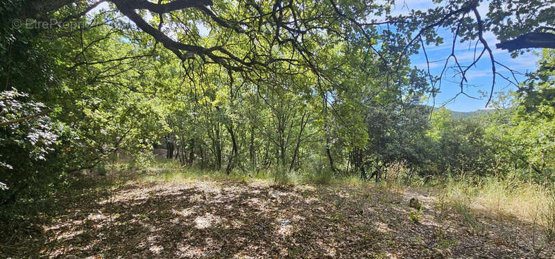 Terrain à MONTFERRAT