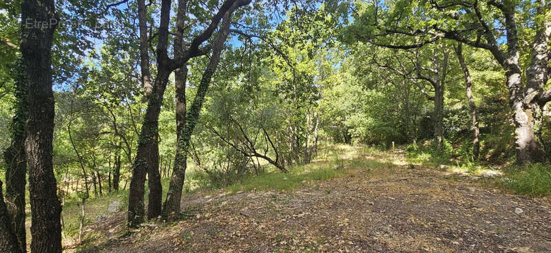 Terrain à MONTFERRAT