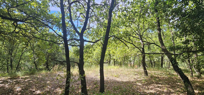 Terrain à MONTFERRAT