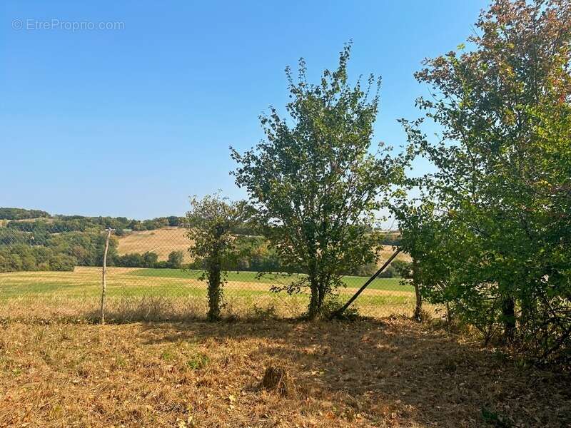 Maison à MONTESQUIOU