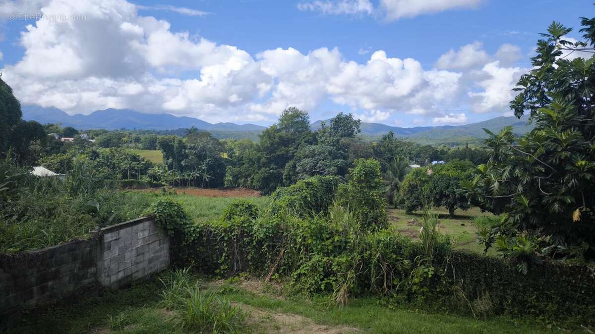 Terrain à LAMENTIN