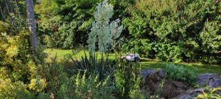 Maison à CHAMP-LE-DUC