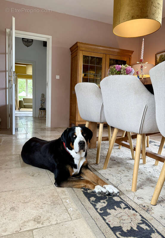 Maison à SAINT-EUTROPE-DE-BORN