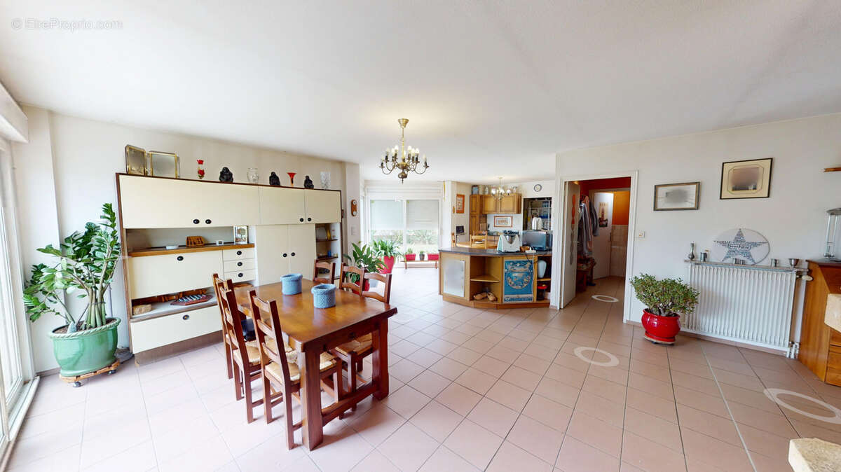 Commerce à LUC-LA-PRIMAUBE