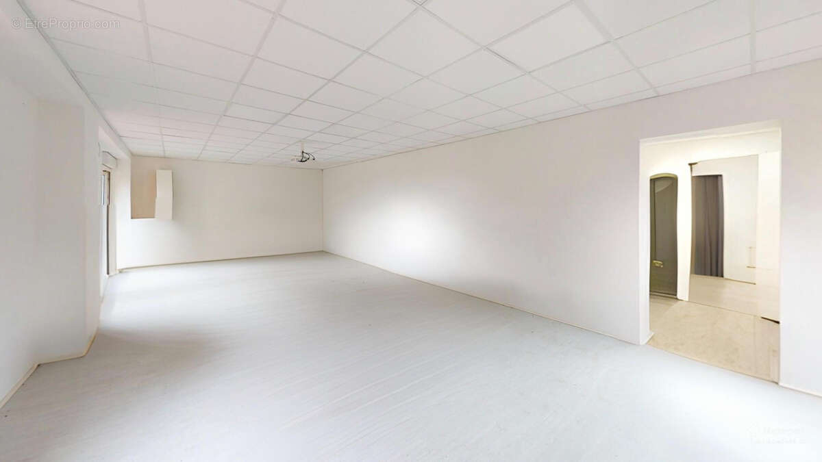 Commerce à LUC-LA-PRIMAUBE