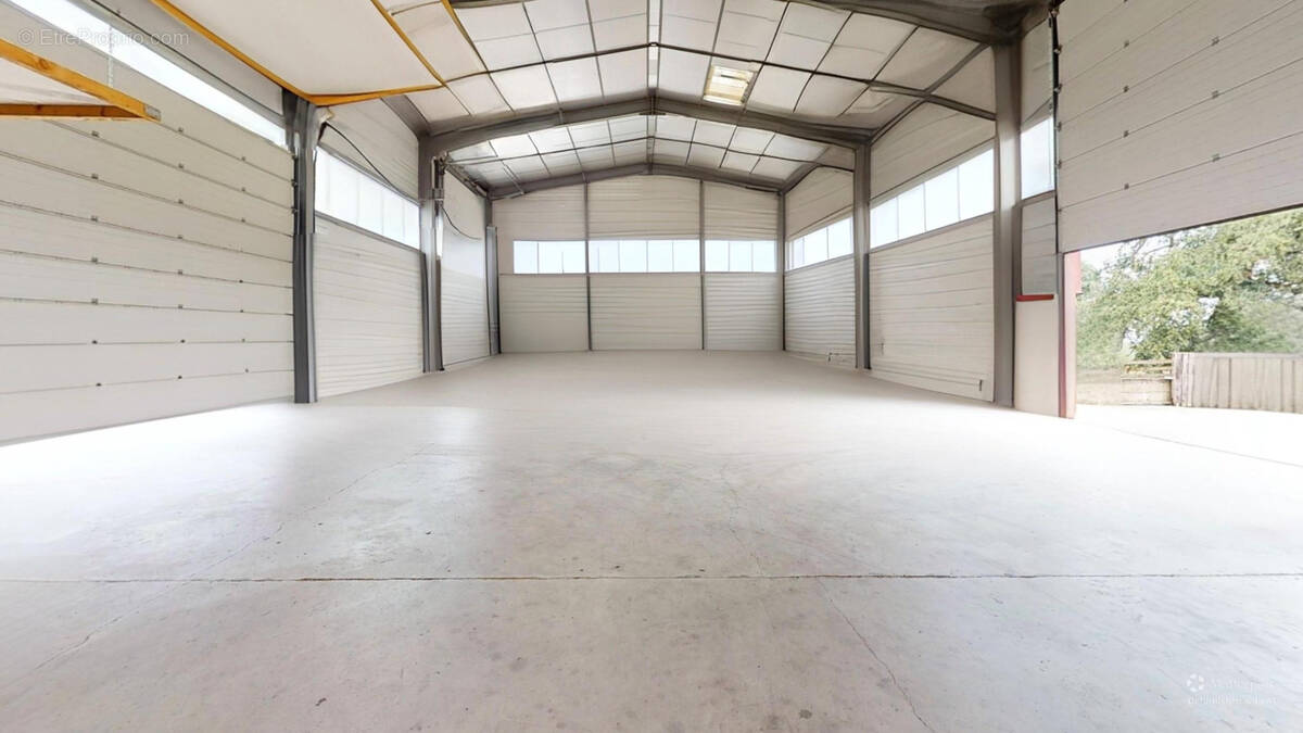 Commerce à LUC-LA-PRIMAUBE