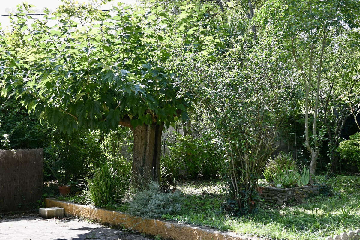 Maison à CARCASSONNE