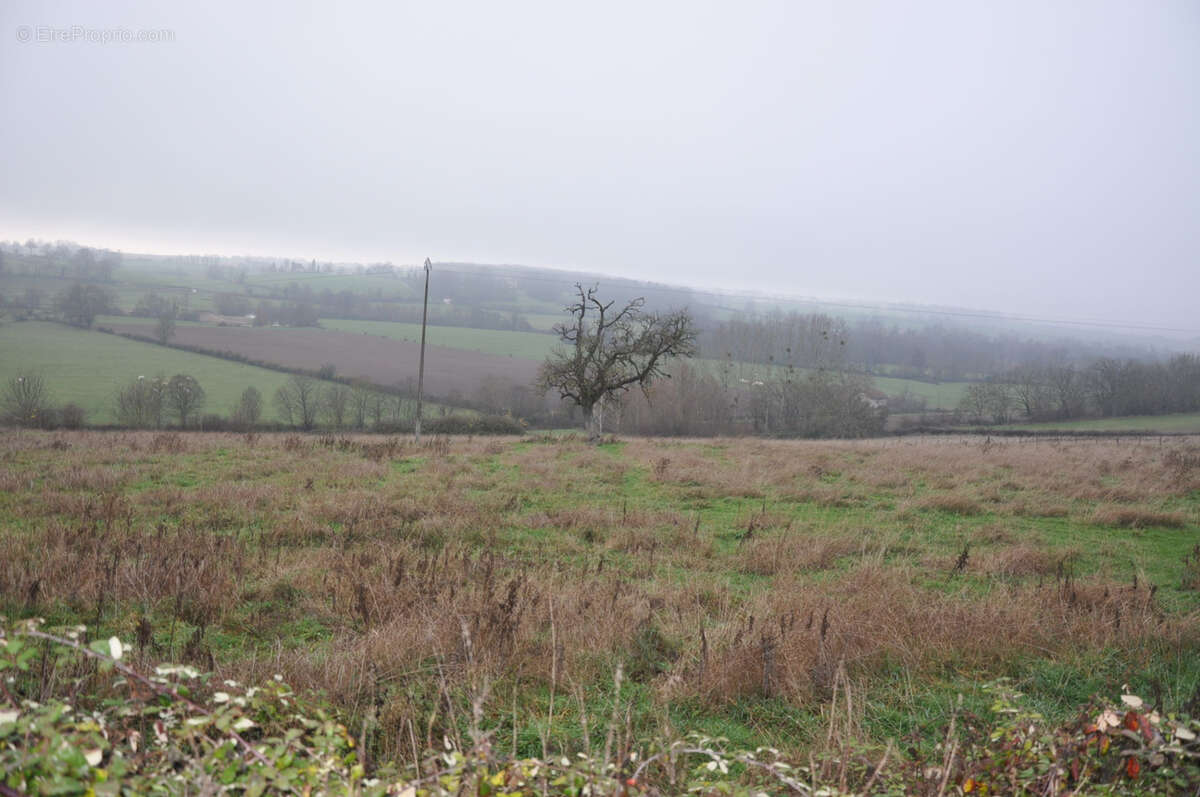 Terrain à CHAVROCHES