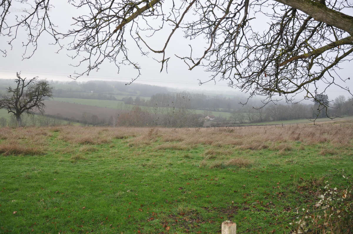 Terrain à CHAVROCHES