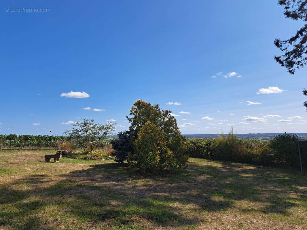 Maison à SAINT-MACAIRE