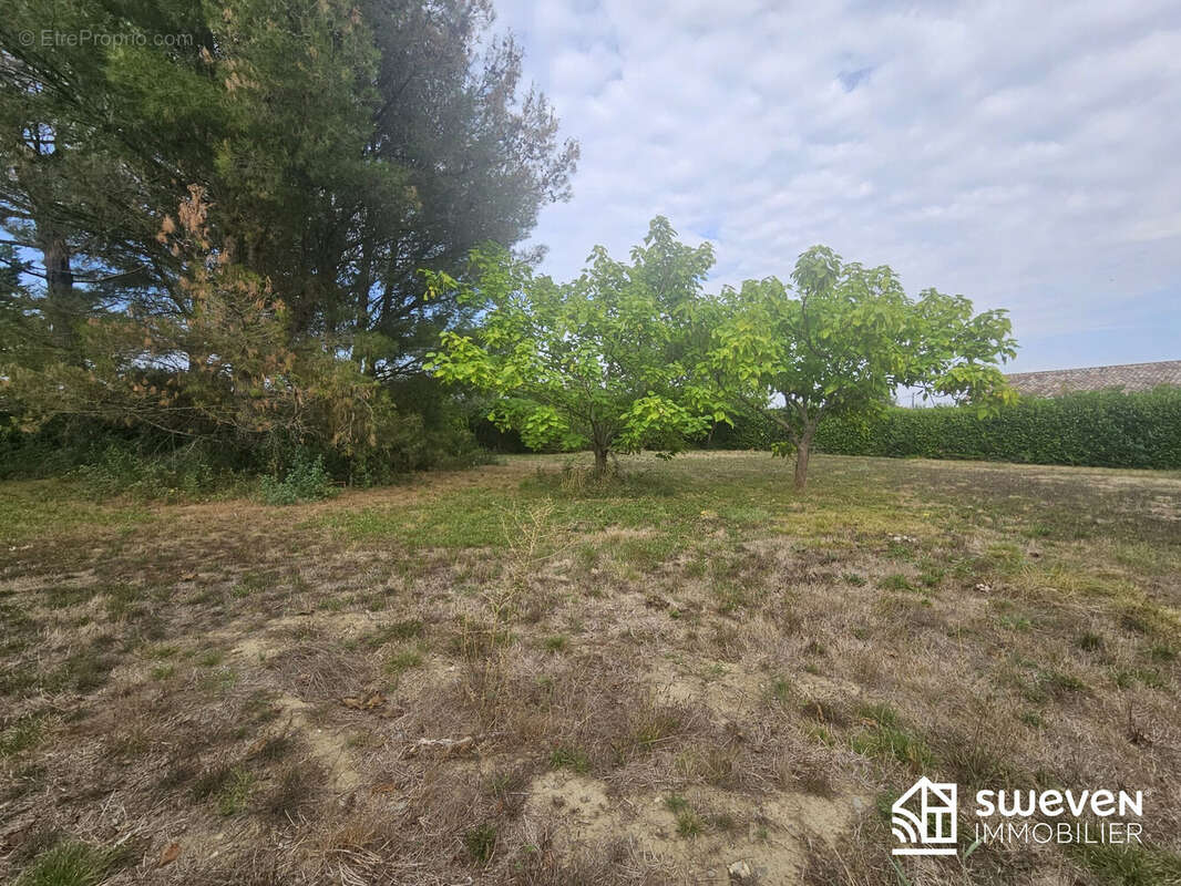 Terrain à LE FAUGA