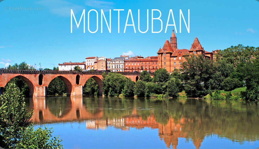 Terrain à MONTAUBAN