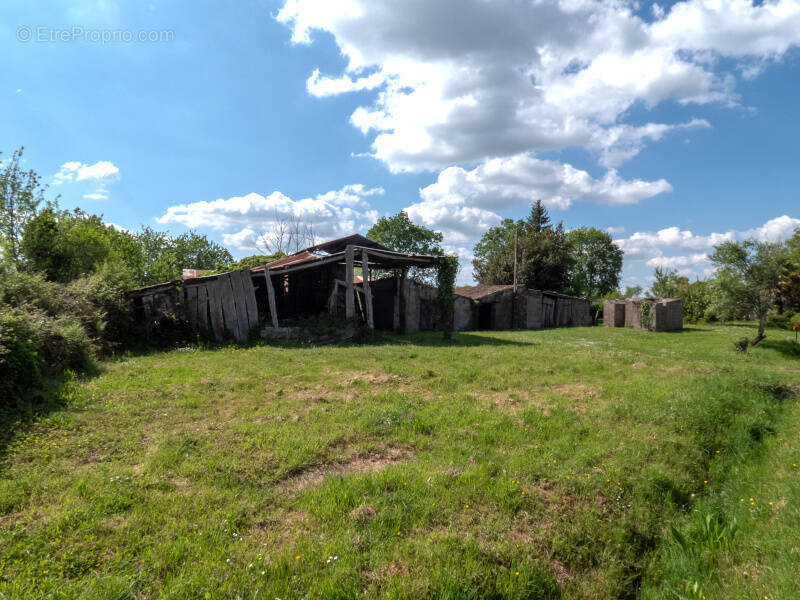 Terrain à SAINT-VINCENT-SUR-GRAON
