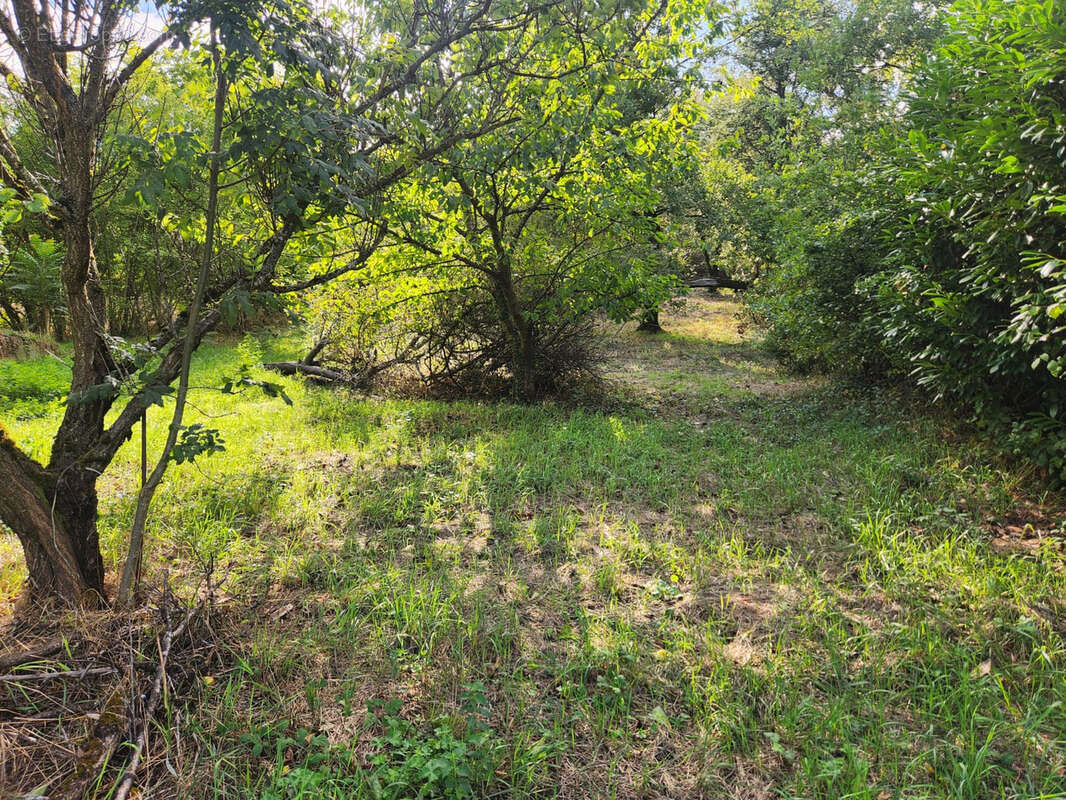 Terrain à CHATEAUNEUF
