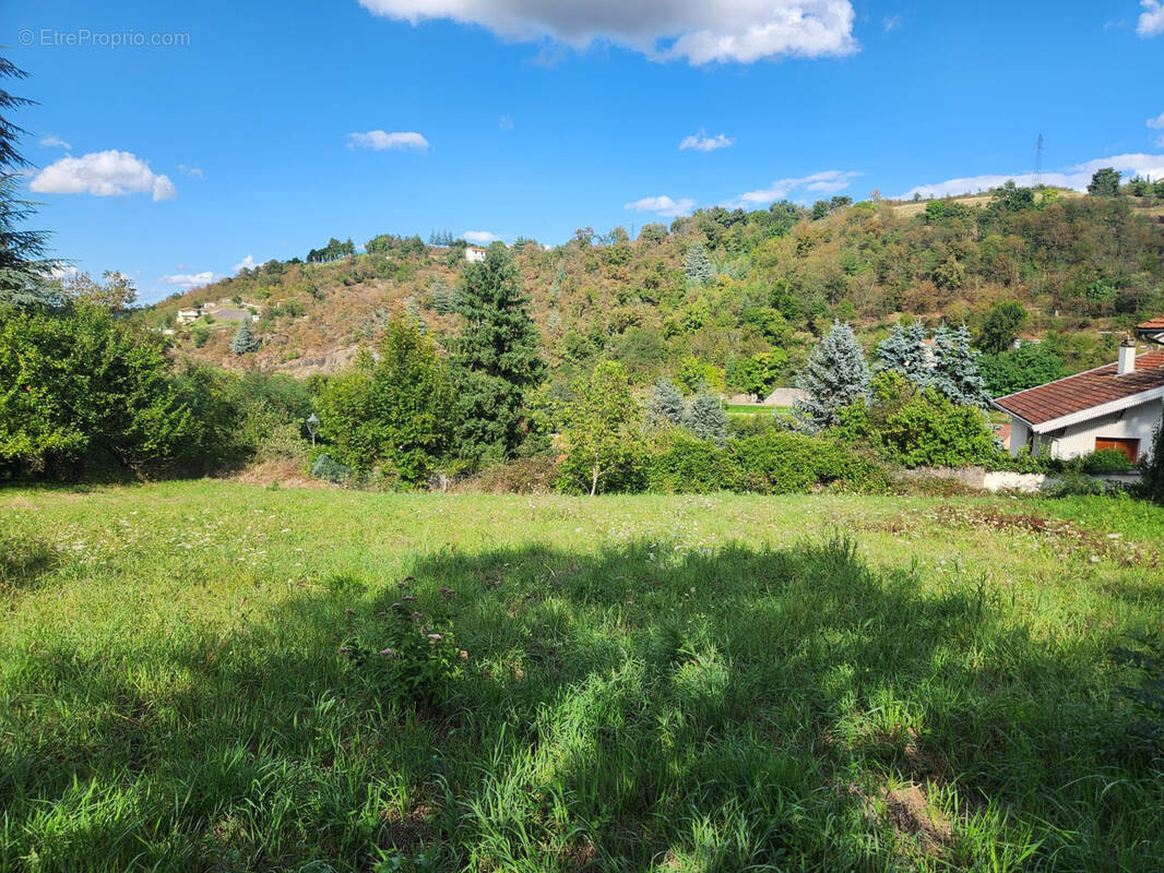 Terrain à CHATEAUNEUF