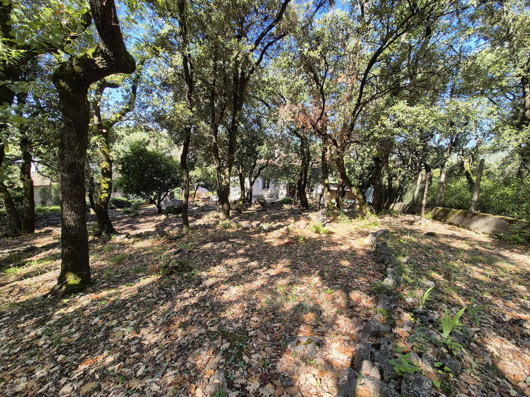 Maison à SAINT-MARTIN-DE-VALGALGUES