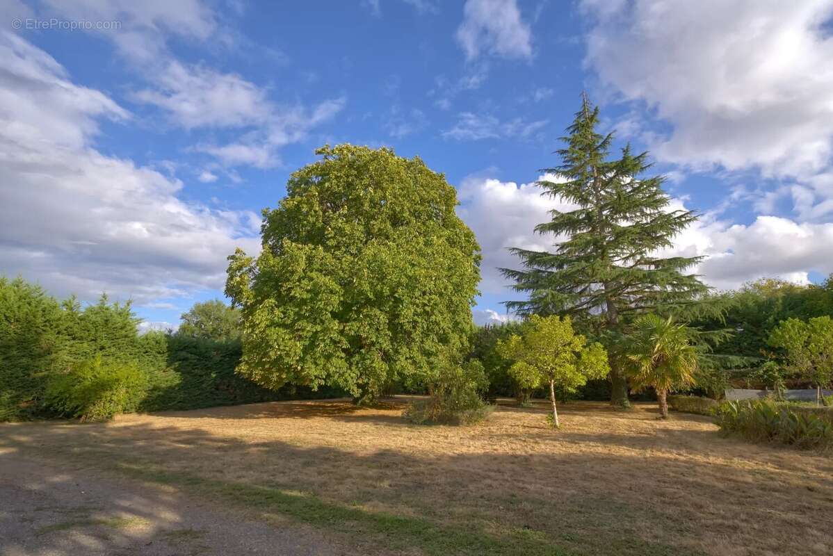 Maison à VILLEFAGNAN