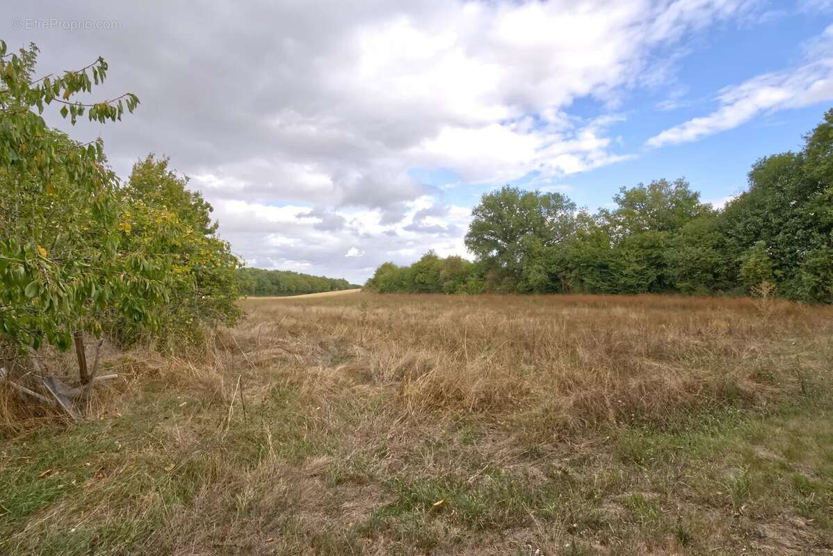 Maison à VILLEFAGNAN