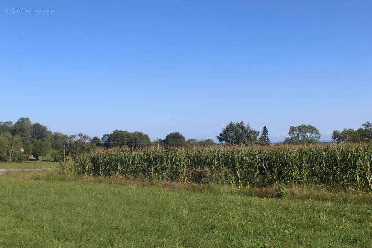 Terrain à BAGNERES-DE-BIGORRE