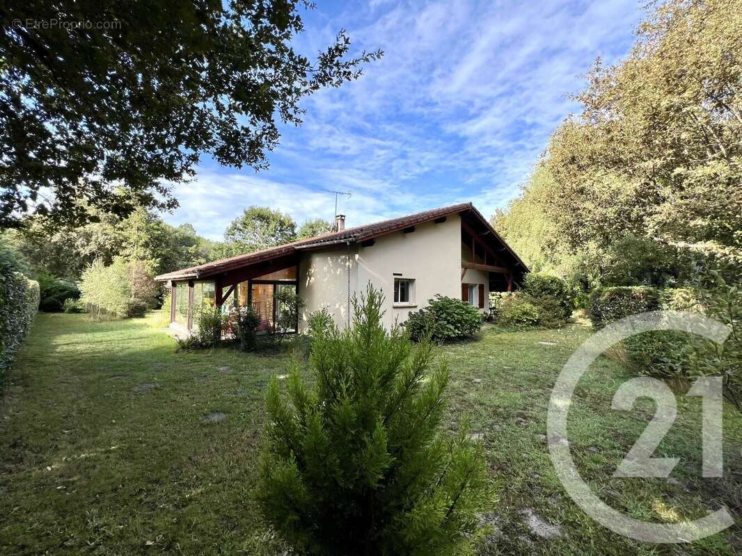 Maison à SAINTE-EULALIE-EN-BORN