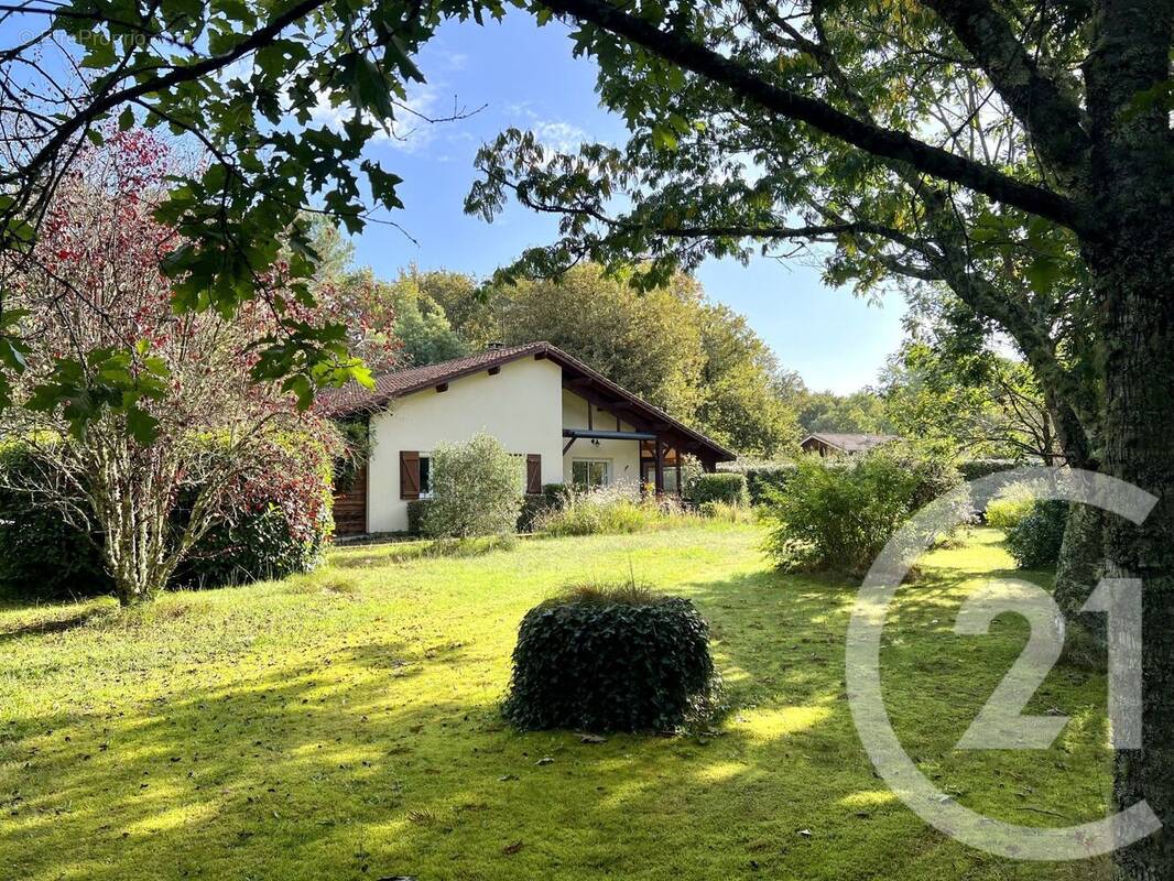 Maison à SAINTE-EULALIE-EN-BORN