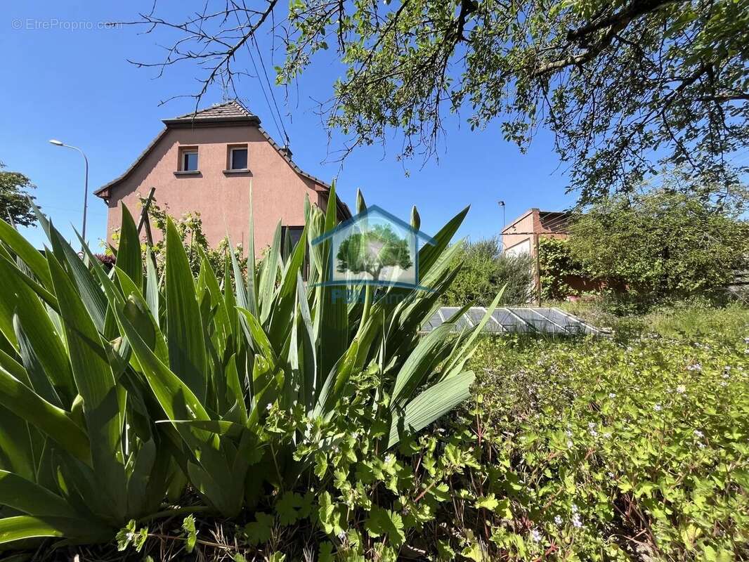 Maison à WITTENHEIM