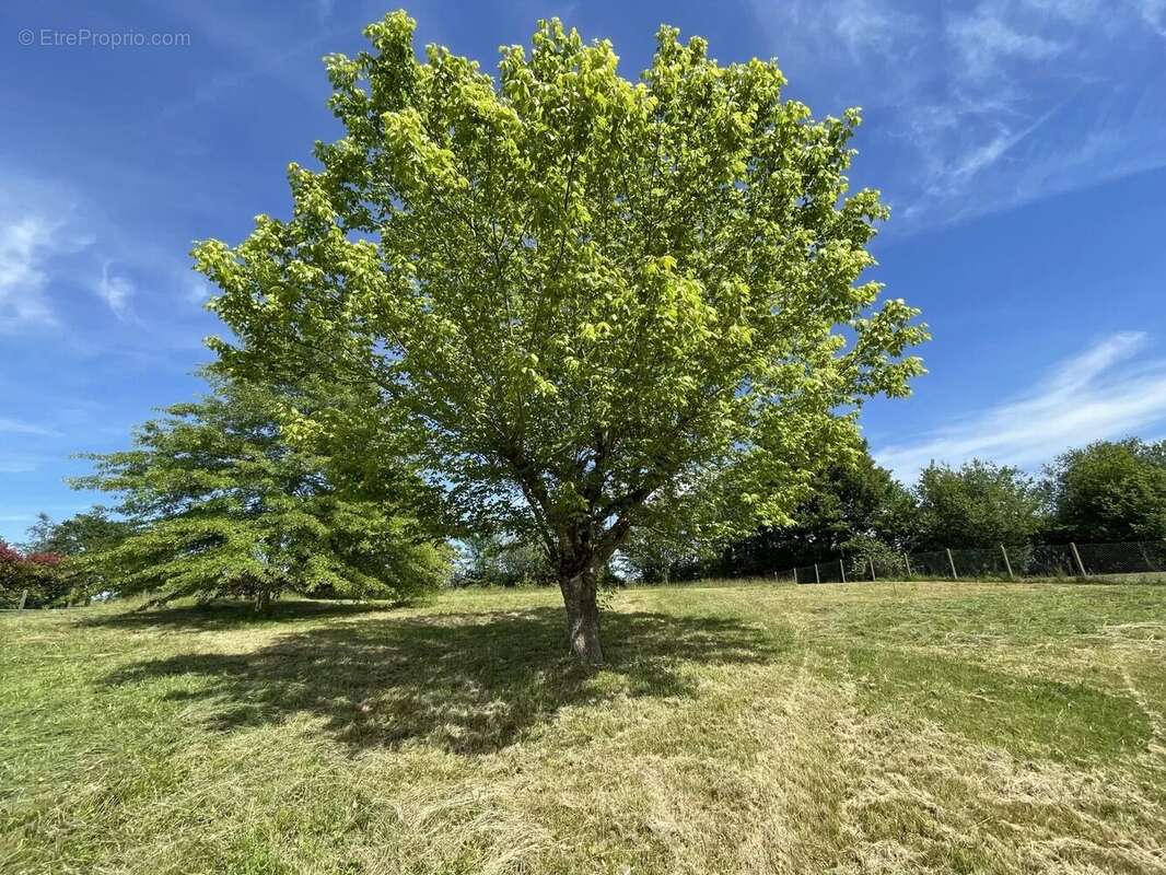 Maison à SALIES-DE-BEARN