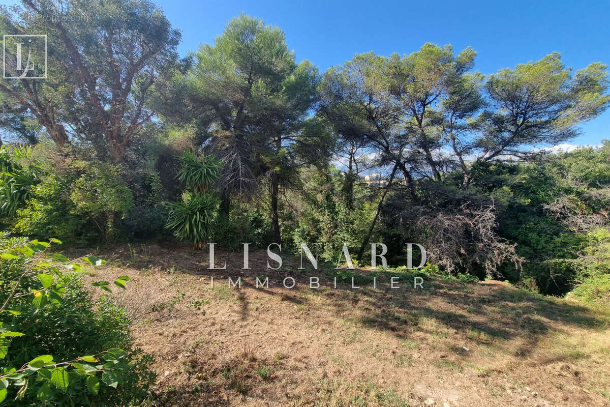 Appartement à VALLAURIS