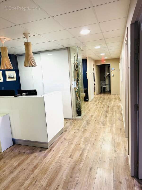 Commerce à PLAISANCE-DU-TOUCH