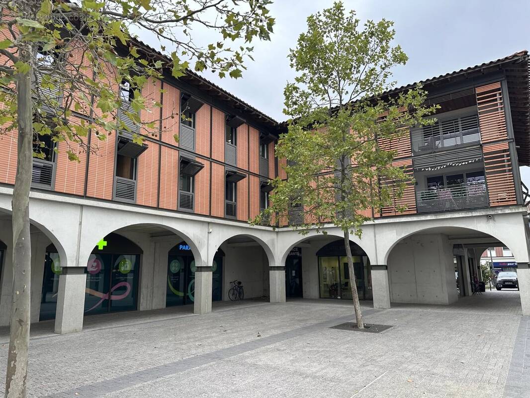 Commerce à PLAISANCE-DU-TOUCH