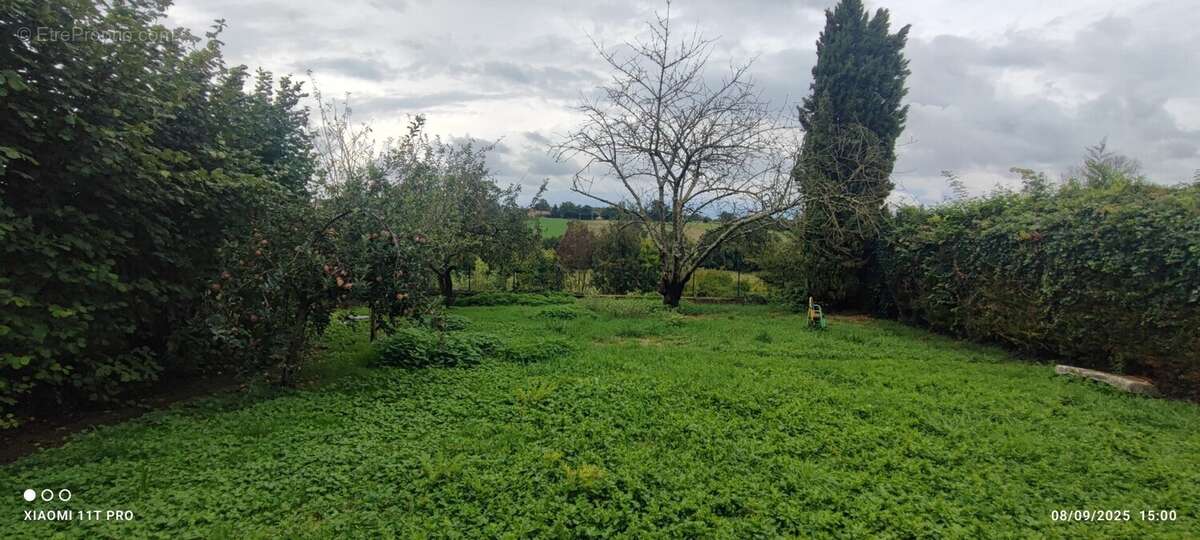 Maison à SAINT-JULIEN-SUR-VEYLE