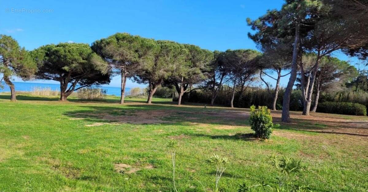 Appartement à POGGIO-MEZZANA