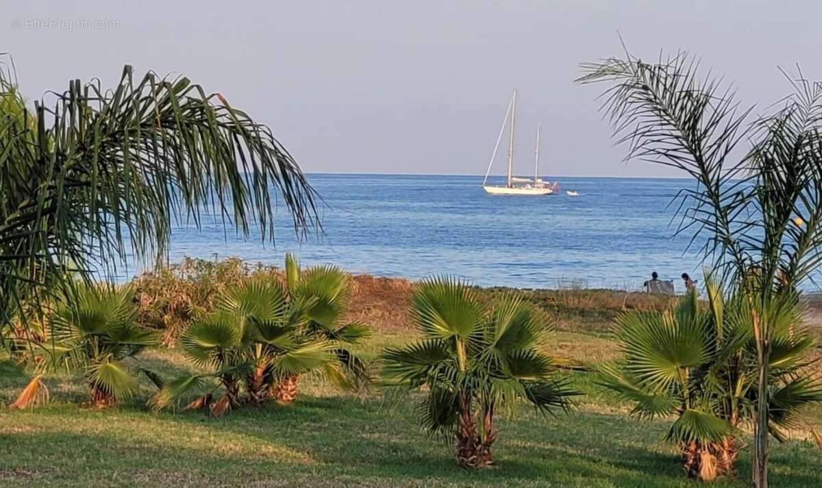 Appartement à POGGIO-MEZZANA
