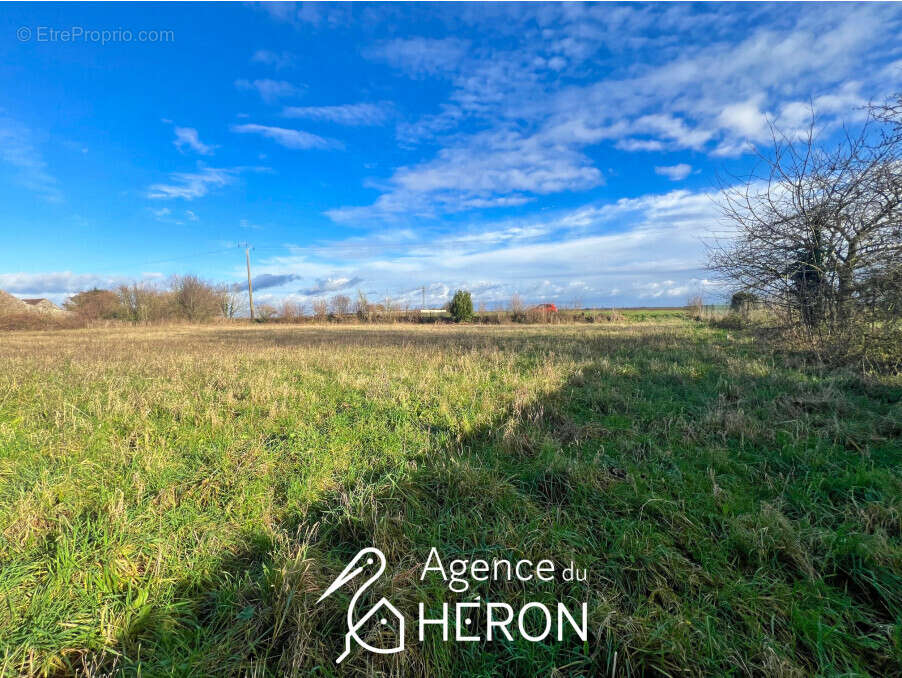 Terrain à OBSONVILLE
