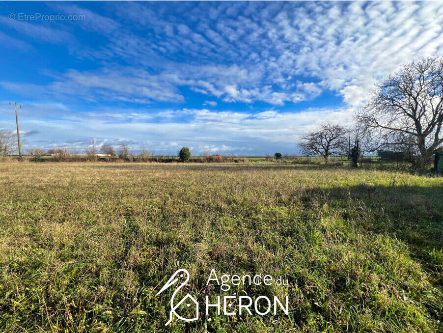 Terrain à OBSONVILLE